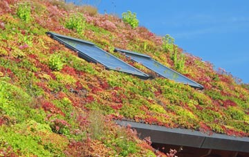 Kendal End living roof systems
